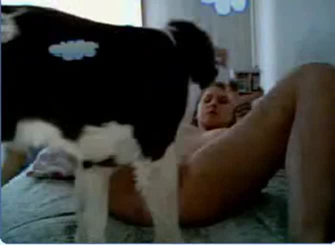 Video :Sexy teen getting pussy licked by pet dog